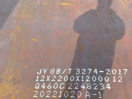 瑞丽Q460高强钢板